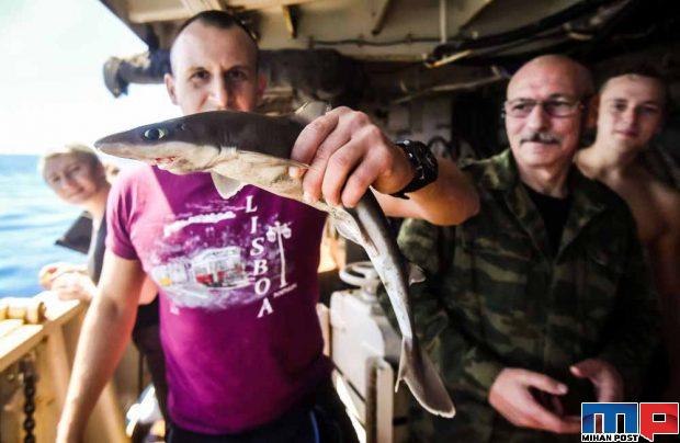 جدیدترین تصاویر قطب جنوب از دریچه دوربین عکاسان کشتی ادمیرال ولادیمیر 8 جدیدترین تصاویر قطب جنوب