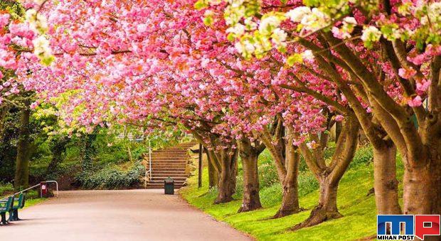 نگاهی به جشن های ایران باستان با قدمت تاریخی بیش از 2000 سال 2 جشن های ایران باستان