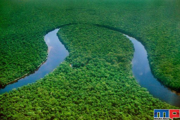 جنگلهای معروف جهان به روایت تصاویری تماشایی 10 جنگل كنگو در قاره آفریقا