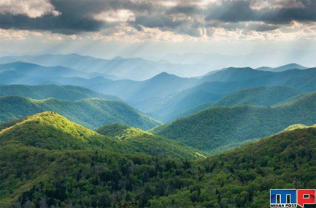 جنگلهای معروف جهان به روایت تصاویری تماشایی 29 جنگل پیسگاه