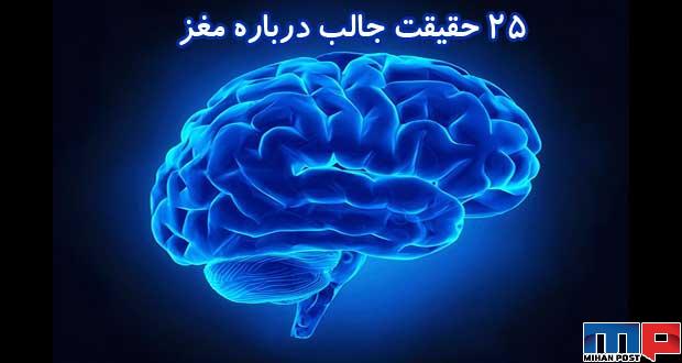 حقایق جالبی درباره مغز که همگان از آن آگاه نیستند !؟ 13 حقایق جالبی درباره مغز