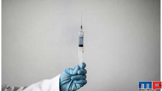 خرچنگ نعلی موجودی که جان بسیاری از انسان ها را نجات داده است 4 خرچنگ نعلی