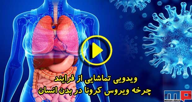ویدیویی تماشایی از فرایند چرخه ویروس کرونا در بدن انسان 1 فرایند چرخه ویروس کرونا در بدن انسان