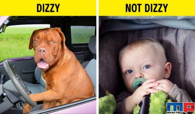 ماشین گرفتگی چه دلایلی دارد و چطور می توان با آن مقابله کرد؟ 4 ماشین گرفتگی