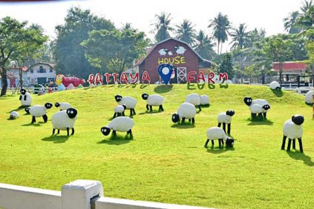 مزرعه‌ پرورش گوسفند Sheep Farm