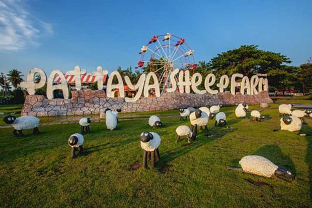 مزرعه‌ پرورش گوسفند Sheep Farm