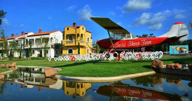 مزرعه‌ پرورش گوسفند Sheep Farm