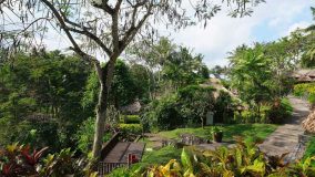 هتل مایا اوبود ریزورت اند اسپا Maya Ubud Resort & Spa