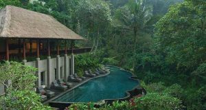 هتل مایا اوبود ریزورت اند اسپا Maya Ubud Resort & Spa