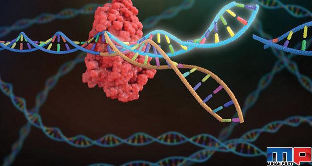 پاک کردن خاطرات بد با ویرایش ژن کریسپر 1 پاک کردن خاطرات بد