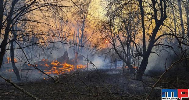 آتش سوزی در چرنوبیل و خطر انتشار مواد رادیواکتیو + تصاویر ماهواره ای 10 آتش سوزی در چرنوبیل