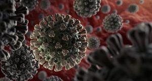 آیا ویروس کرونا در آزمایشگاه ساخته شده است