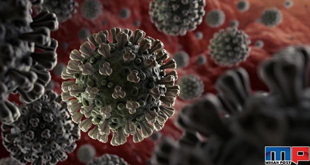 آیا ویروس کرونا در آزمایشگاه ساخته شده است ؟ 1 آیا ویروس کرونا در آزمایشگاه ساخته شده است