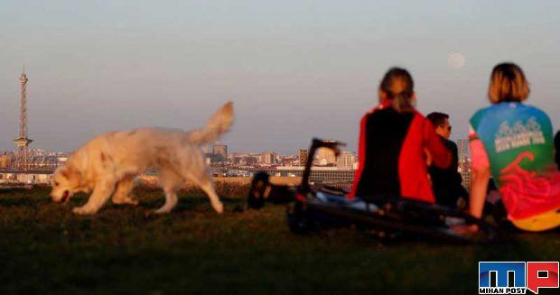 تصاویر ابر ماه صورتی 20 فروردین 99 و تاثیر آن بر روی زمین ؟ 18 ابر ماه صورتی