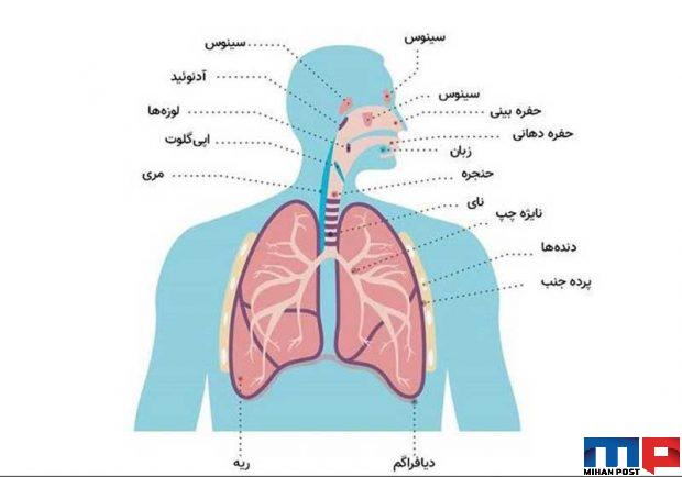 آشنایی با تفاوت انواع سرفه بخصوص سرفه های مختص کووید ۱۹ 2 تفاوت انواع سرفه