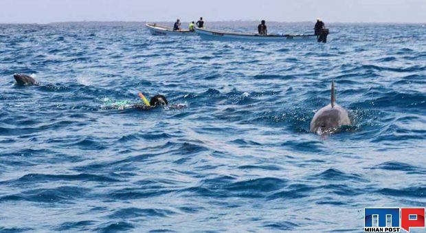 جزیره های جنوب ایران