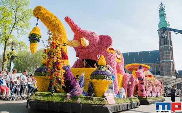 جشنواره لاله در هلند