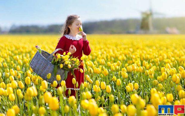 جشنواره لاله در هلند