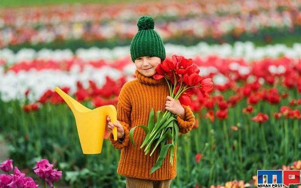 جشنواره لاله در هلند