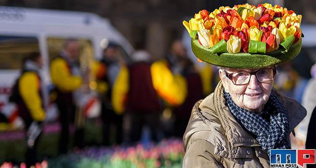 نگاهی به جشنواره لاله در هلند + عکس 9 جشنواره لاله در هلند
