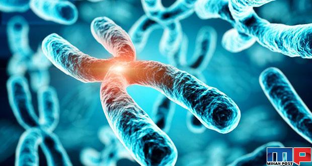 جلوگیری از پیری با روش درمانی جدید محققان دانشگاه هاروارد 32 جلوگیری از پیری