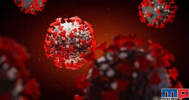 سیستم یادگیری درمانی اوراکل به کشف درمان کرونا کمک خواهد کرد 2 سیستم یادگیری درمانی اوراکل