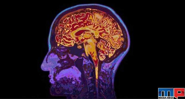 فناوری در دوران قرنطینه چه کمکی به ما کرده است؟ 2 فناوری در دوران قرنطینه