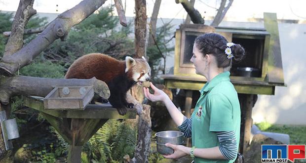 قرنطینه با حیوانات وحشی برای محافظت از باغ وحش 6 قرنطینه با حیوانات وحشی