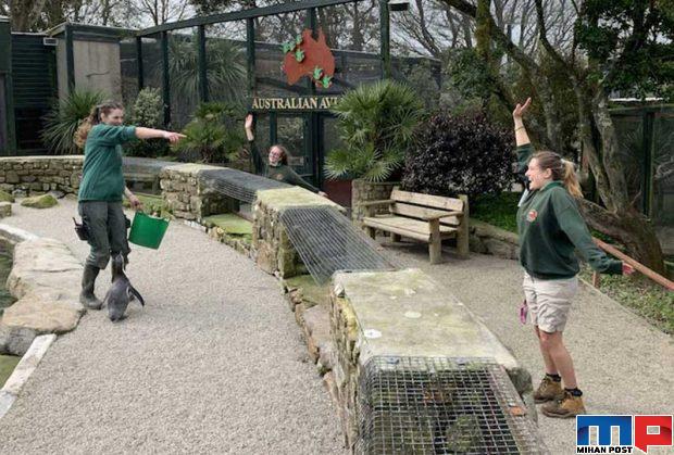 قرنطینه با حیوانات وحشی برای محافظت از باغ وحش 10 قرنطینه با حیوانات وحشی