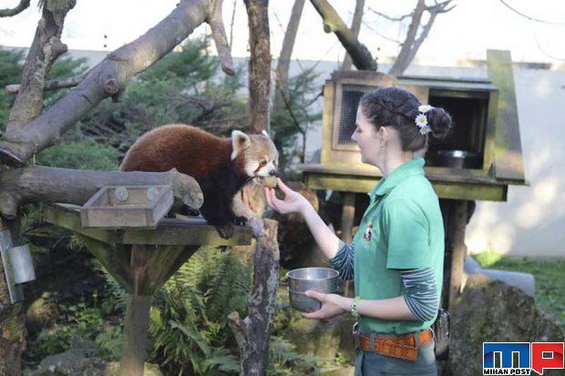 قرنطینه با حیوانات وحشی برای محافظت از باغ وحش 6 قرنطینه با حیوانات وحشی