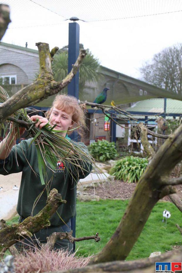 قرنطینه با حیوانات وحشی برای محافظت از باغ وحش 8 قرنطینه با حیوانات وحشی