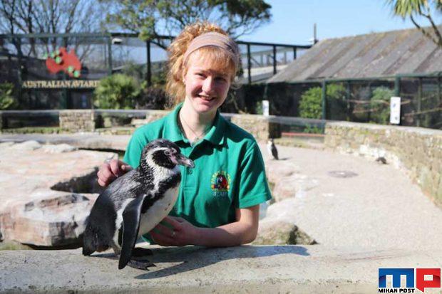 قرنطینه با حیوانات وحشی برای محافظت از باغ وحش 9 قرنطینه با حیوانات وحشی