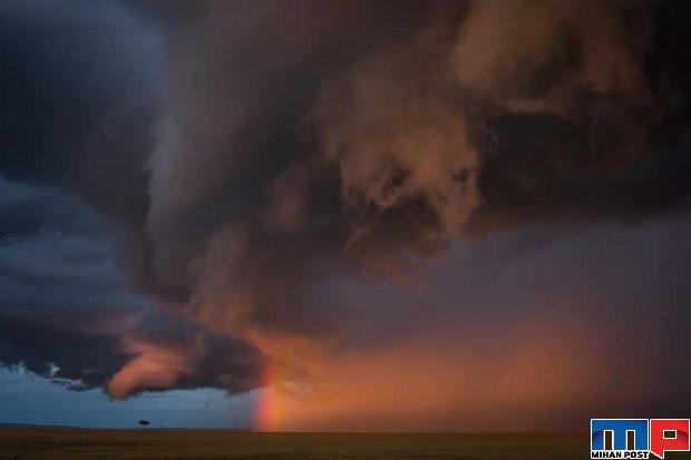 مسابقه عکاسی GDT 2020