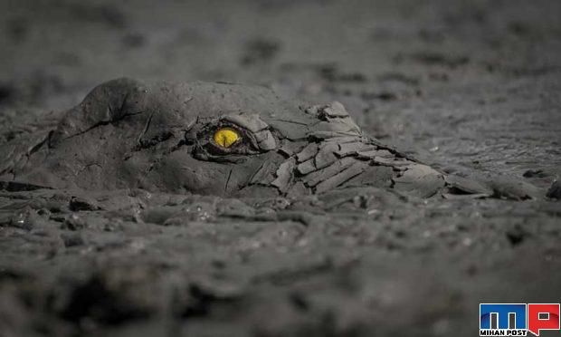 مسابقه عکاسی GDT 2020