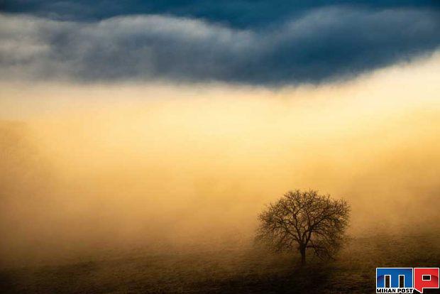 مسابقه عکاسی GDT 2020