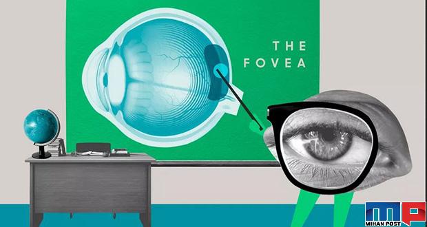 چشم انسان چند مگاپیکسل است ؟ 34 چشم انسان چند مگاپیکسل است