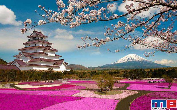 سفر به ژاپن در فصل بهار تماشای مناظر خیره کننده این کشور + عکس 2 ژاپن در فصل بهار