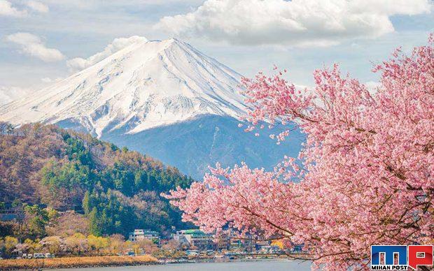 سفر به ژاپن در فصل بهار تماشای مناظر خیره کننده این کشور + عکس 5 ژاپن در فصل بهار