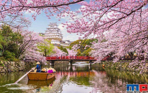 سفر به ژاپن در فصل بهار تماشای مناظر خیره کننده این کشور + عکس 6 ژاپن در فصل بهار