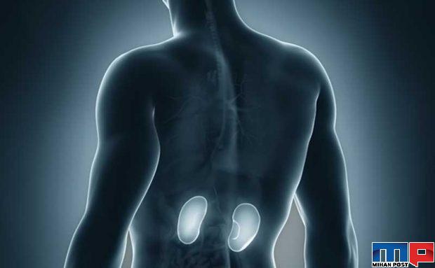 بیماری آدیسون چه آسیب هایی به بدن می رساند ؟ 2 بیماری آدیسون