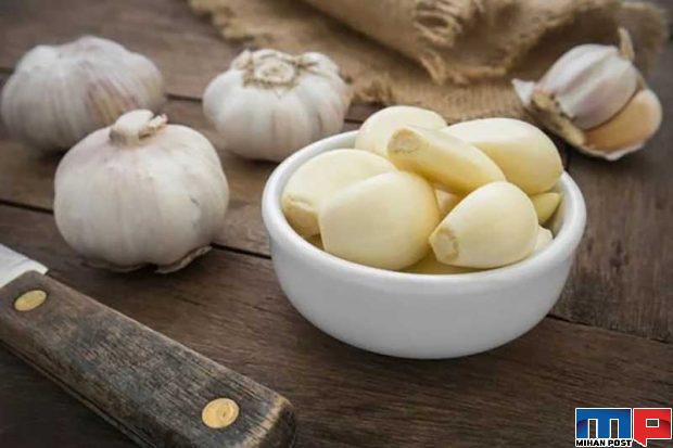 درمان ریزش مو با سیر چگونه امکان پذیر خواهد شد! 3 درمان ریزش مو با سیر