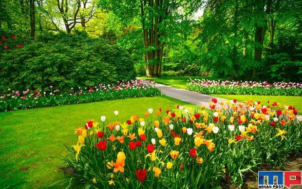 نگاهی به دشت لاله های کرج جاذیه گردشگری در نزدیکی تهران 6 دشت لاله های کرج