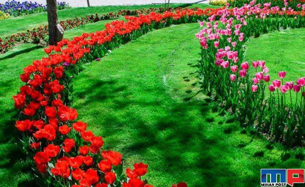 نگاهی به دشت لاله های کرج جاذیه گردشگری در نزدیکی تهران 4 دشت لاله های کرج