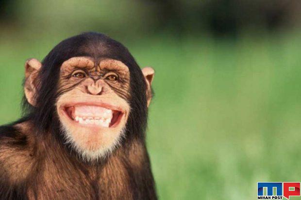 روز جهانی خنده