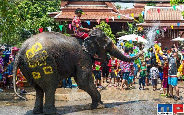 عکس های فستیوال آب تایلند یا همان جشن سونگکران را تماشا کنید 3 عکس های فستیوال آب تایلند 3
