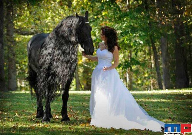 فردریک کبیر