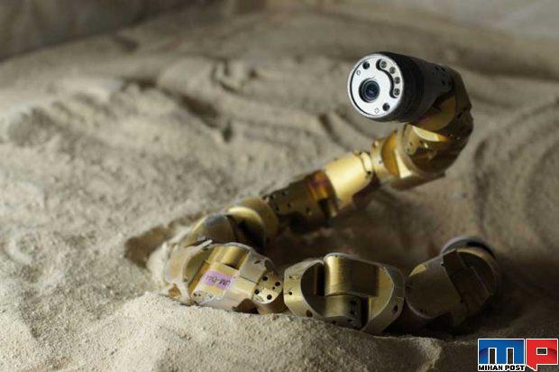 فواید مارها در زندگی انسان ها از کنترل آفات تا صنعت پوشاک 4 فواید مارها در زندگی انسان ها