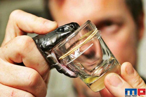 فواید مارها در زندگی انسان ها از کنترل آفات تا صنعت پوشاک 3 فواید مارها در زندگی انسان ها