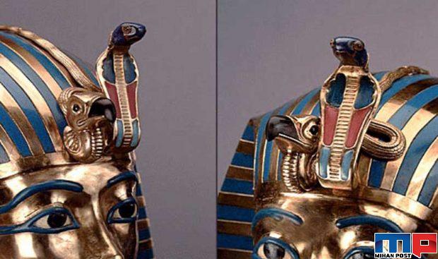 فواید مارها در زندگی انسان ها از کنترل آفات تا صنعت پوشاک 8 فواید مارها در زندگی انسان ها