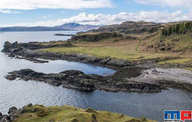 قدیمی‌ ترین حشره جهان